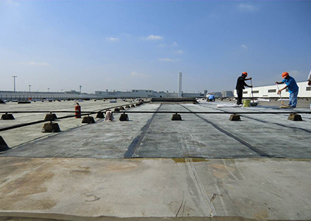 上?；瘜W建材協會防水材料及技術分會成立，公司董...